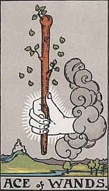Ace of Wands image